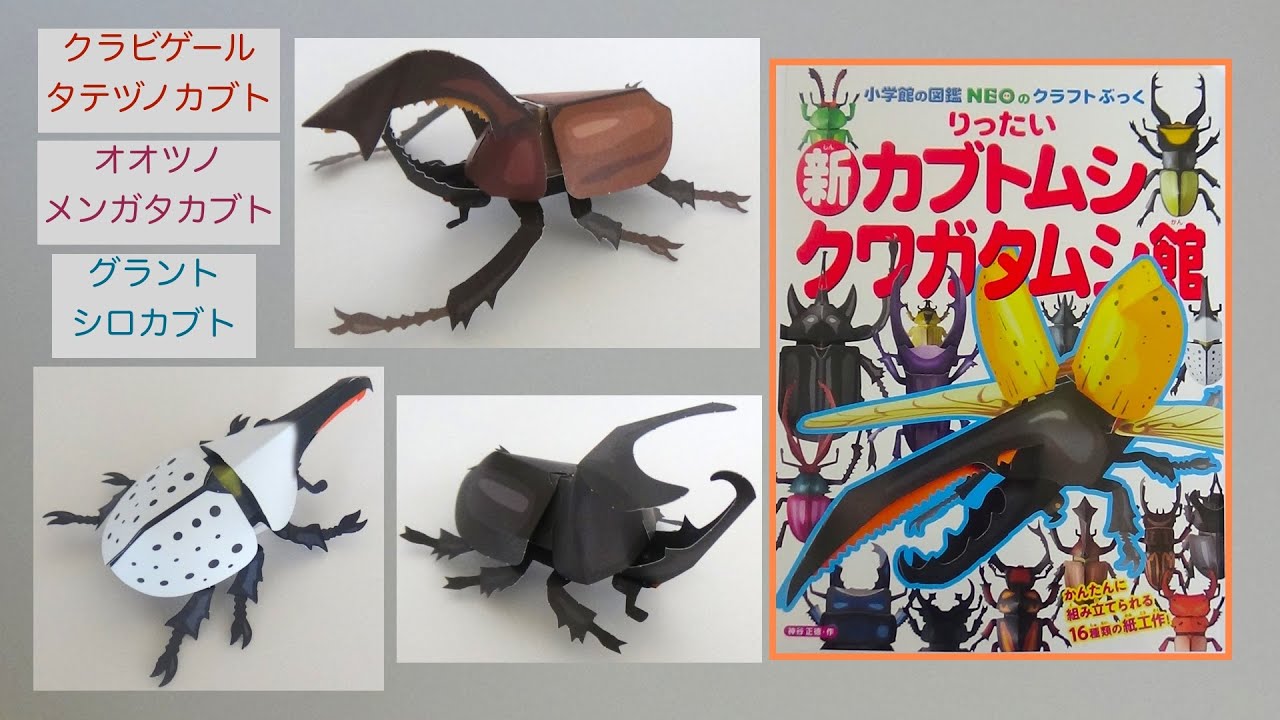 クラビゲールタテヅノカブト オオツノメンガタカブト グラント