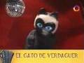 gato pendejo