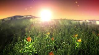 Relaxing Piano Music in 432Hz for Relaxation • Meditation and Yoga • By Buddha Code