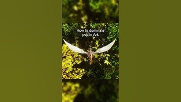 How to DOMINATE Ark pvp #arksurvivalascended  #ark