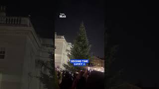 Christmas tree lights disappoint crowd
