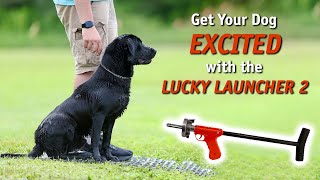 Get Your Dog Excited With The Lucky Launcher Ii