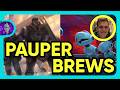 Six Brews to Spice up Your Local Meta! ft. SiegeRyan | Pauper MTG