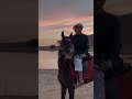 انا اين فيصل الشاعر مهند الفيصل 