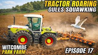 MORE POWER ATTRACTS THE BIRDS | Witcombe Park Farm Farmin...