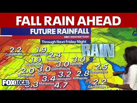 DC forecast: Cooler, wetter weather coming after last weekend of summer