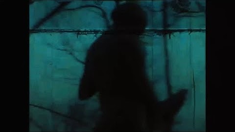 Totenwald : Alone (EP Version)