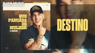 Zé Vaqueiro - Destino Cd Novo