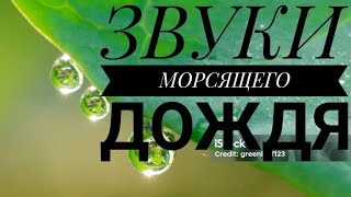 ЗВУК СИЛНОГО ДОЖДЯ .звуки для сна и медитации.#gentlerain #RainSooundsforSleeping #rainatnight