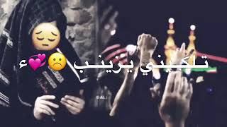 حالات واتس اب سيد فاقد الموسوي  زينب تلكيني يز ينب حيل مابيه