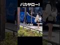 日本の路上で、ブチギレる中国人。