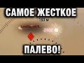 САМОЕ ЖЕСТКОЕ ПАЛЕВО! ОНИ ХОТЕЛИ СКРЫТЬ СВОИ ДЕЙСТВИЯ, НО НЕ СДЕРЖАЛИСЬ