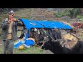 Heavy Rain &amp; Traditional Cooking Cozy Village Life in Nature #explore #most #rain #rurallife #viral 