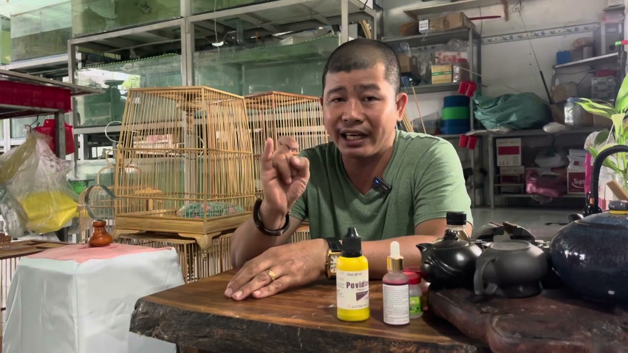 Trị chim bị đau chân,nguyên nhân và cách trị đơn giản và hiệu quả nhất