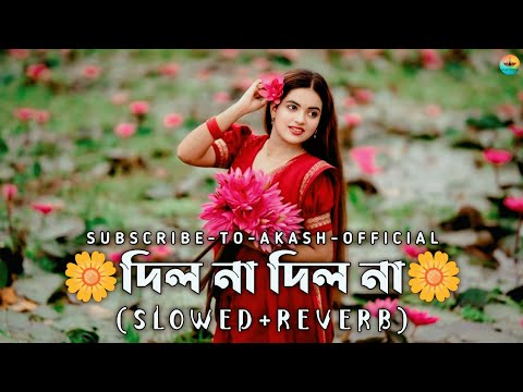 Dilona Dilona Nilo Mon Dilona 🔥 দিল না দিল না | YouTube Training | (Slowed+Reverb) | Lofi Music 2026