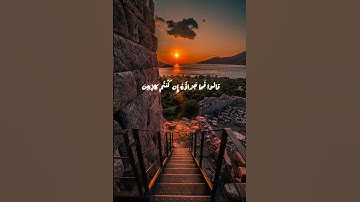 آيه .. ولنا في سورة يوسف اجمل القصص
