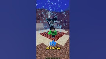 Minecraft pocket and Bedrock edition are different in hindi #shorts #minecraft