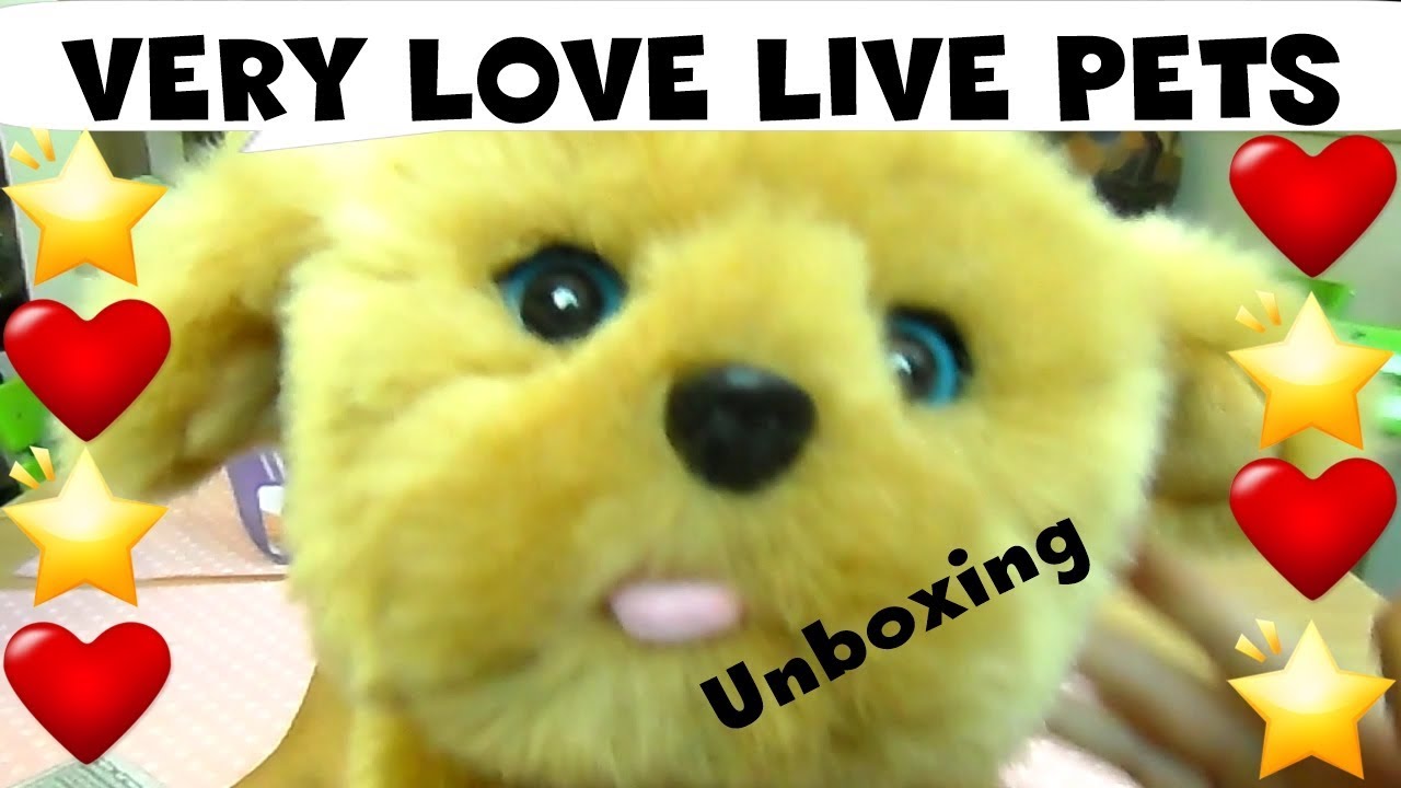live pets very love