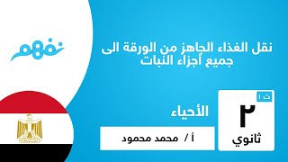 نقل الغذاء الجاهز من الورقة الى جميع أجزاء النبات | الأحياء | للصف الثاني الثانوي | نفهم