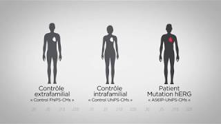 Fil Rouge 6 Validation De Lexpression De Gènes De Pluripotence Par Rt-Pcr