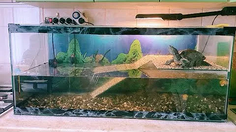 Новый аквариум с островком для черепахи! NEW aquarium: нанос, фильтр, нагреватель, компрессор