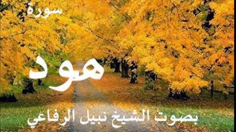 سورة هود بصوت الشيخ / نبيل الرفاعي 11