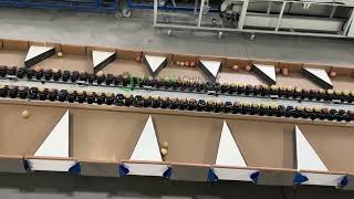 Apple weighing and sorting machine #sortingmachine #sorter #apple #fruit #weighingmachine
