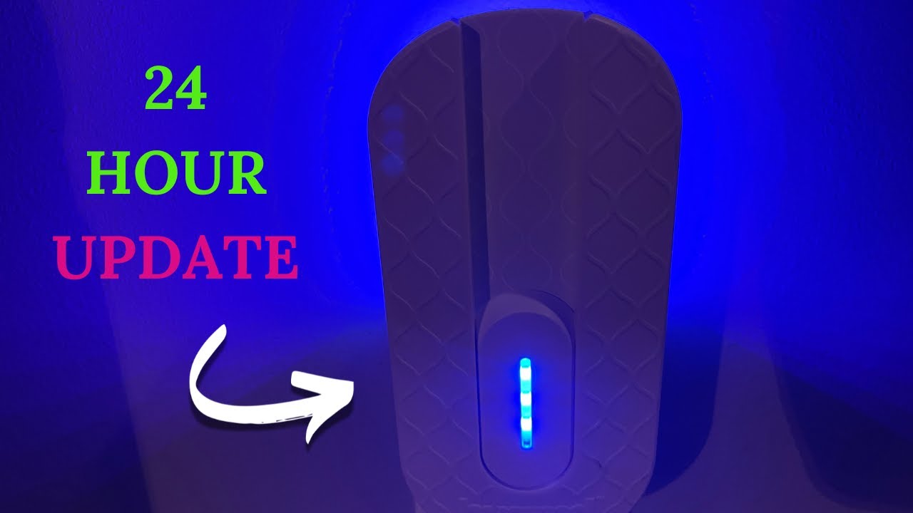 Did It Kill Any Bugs? - YouTube