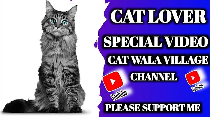 Video 11229621: persian cat kitten doll, kitten persian cat black, face persian cat kitten, persian cat lovers, persian cat love