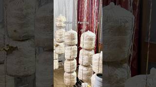 Mushroom Cultivation🔥#agriculture #farmer #mushrooms #mushroom #farming agricos