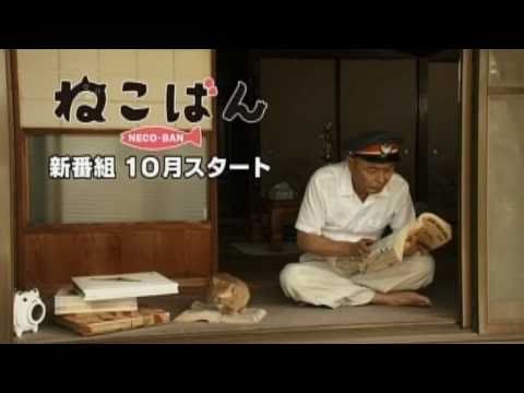 『ねこばん』番宣スポット1