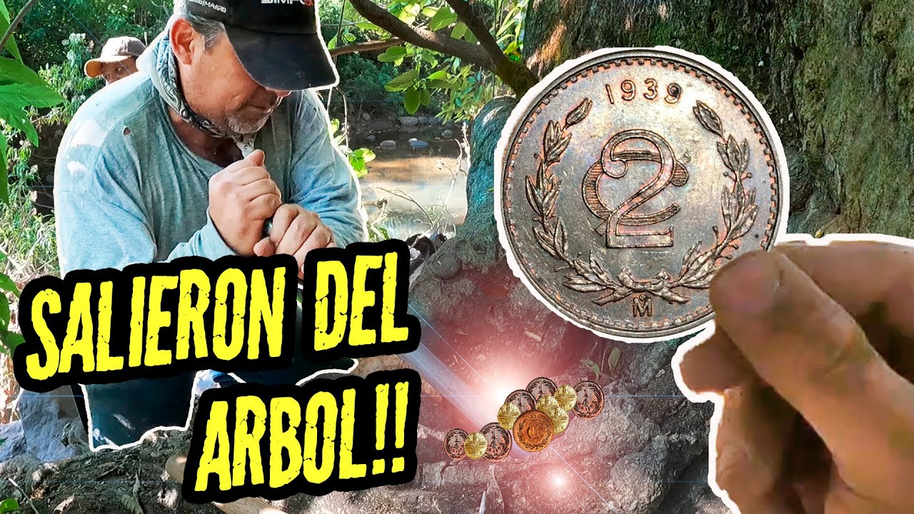 Un Pequeño TESORO salio de este ARBOL  Un Guardian lo Cuidaba