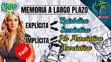 ¿Cómo se forma la memoria a largo plazo?