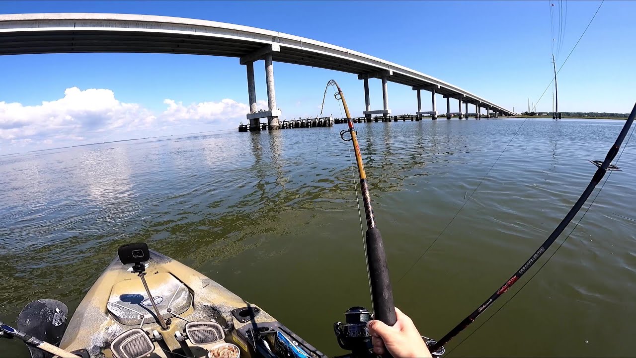 THERE'S BIG FISH EVERYWHERE!