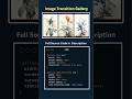 🔥 Image Transition Gallery Using HTML, CSS & JavaScript #coding