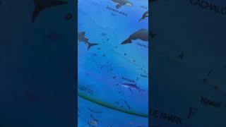 Exerz 25Cm Animal Globe Illuminated