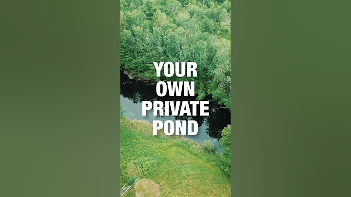 5 Acres and a Private Pond in Maine | Maine Real Estate
