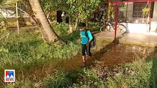 വളളകകടട നടകകന വഴയലല ദരത പറ കരപപഴയല കടബങങളKollamkureepuzha