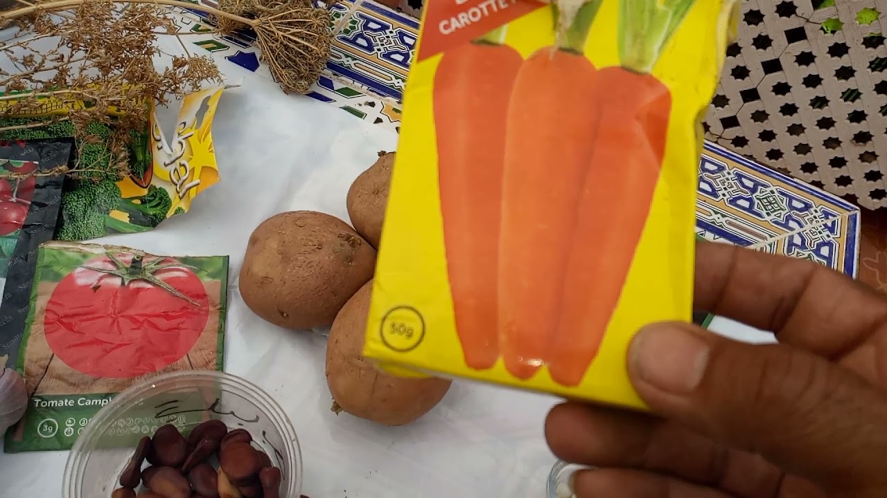 كل ما يمكن زراعته شهر 9/10/11/12