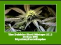 The bubbler shot mixtape 2012  dj dan dfe