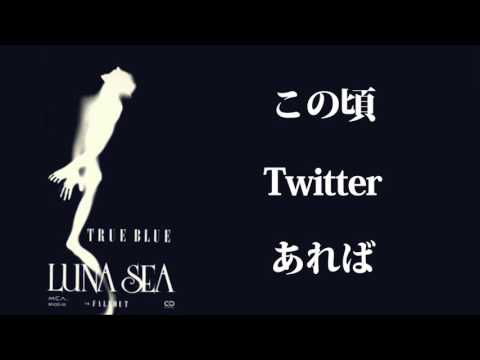 ルナシーのフォロワー数が爆発的上昇!!!!!!!!