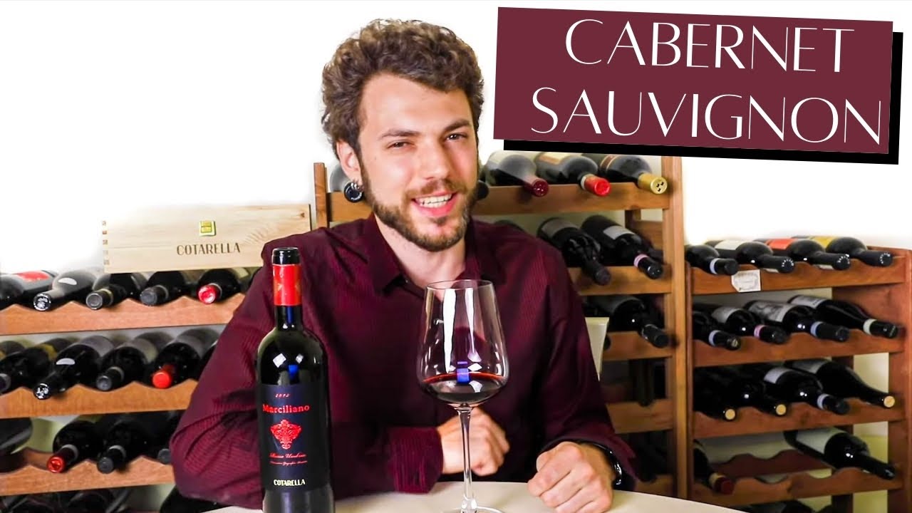 Tasting one of the best Italian Cabernet Sauvignon - Famiglia Cotarella