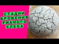 Стадии 👩‍🏫брожения ржаного теста😲: как понять, что тесто на закваске расстоялось и готово к выпечке?