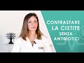 Contrastare la cistite senza antibiotici sintomi cause e rimedi naturali