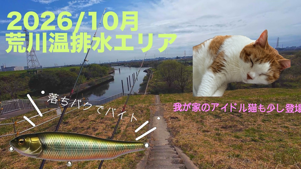 【荒川バス釣り】【荒川温排水】10月！2026年は渋いかも