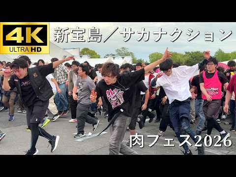 【肉フェス2026】新宝島／サカナクション【J-POP RAVE powered by ANTHEM AKIBA】4K撮影