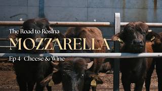 Ep4 Road to Rosina | Italian Wine and Cheese