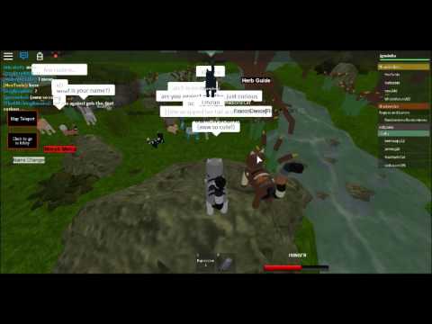 Warrior Cats Love Rp Read Description Youtube - roblox warrior cat roleplaying