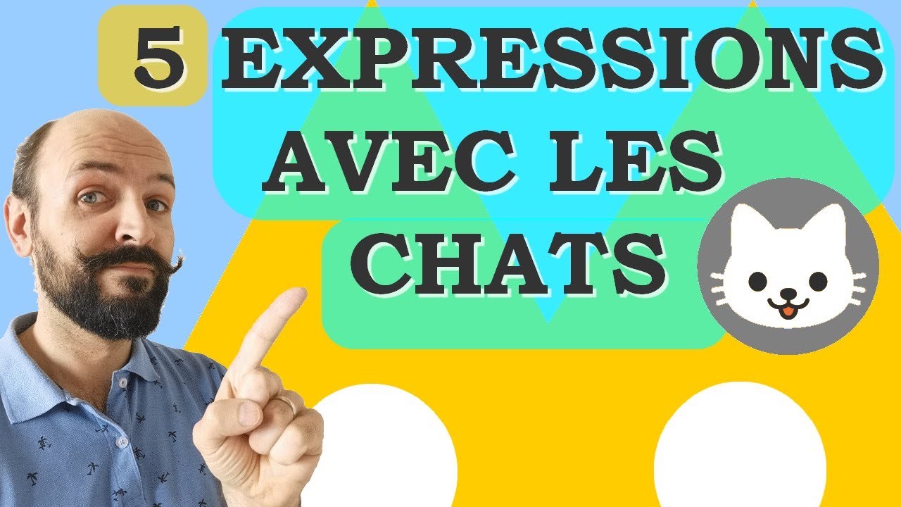 5 Expressions Francaises Avec Le Mot Chat B1 B2 Youtube 5 Expressions Francaises Avec Le Mot Chat B1 B2 Youtube