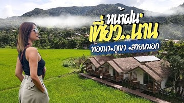 เที่ยวน่าน หน้าฝน ท้องนา ภูเขา และสายหมอก 4 วัน 3 คืน  I เติมฮักฮิมมาง I คีรีวารี I สะปันดีวิว